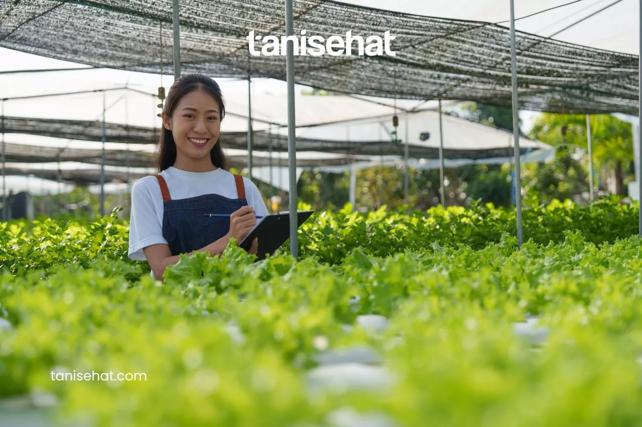 Ciri-Ciri Tanah Subur dan Tanah Rusak yang Perlu Diketahui Petani